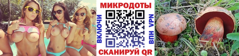 магазин продажи   Сольцы  Галлюциногенные грибы Psilocybe 