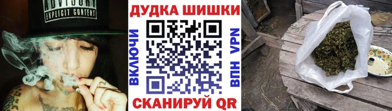блэк спрут как зайти  Сольцы  Канабис сатива 